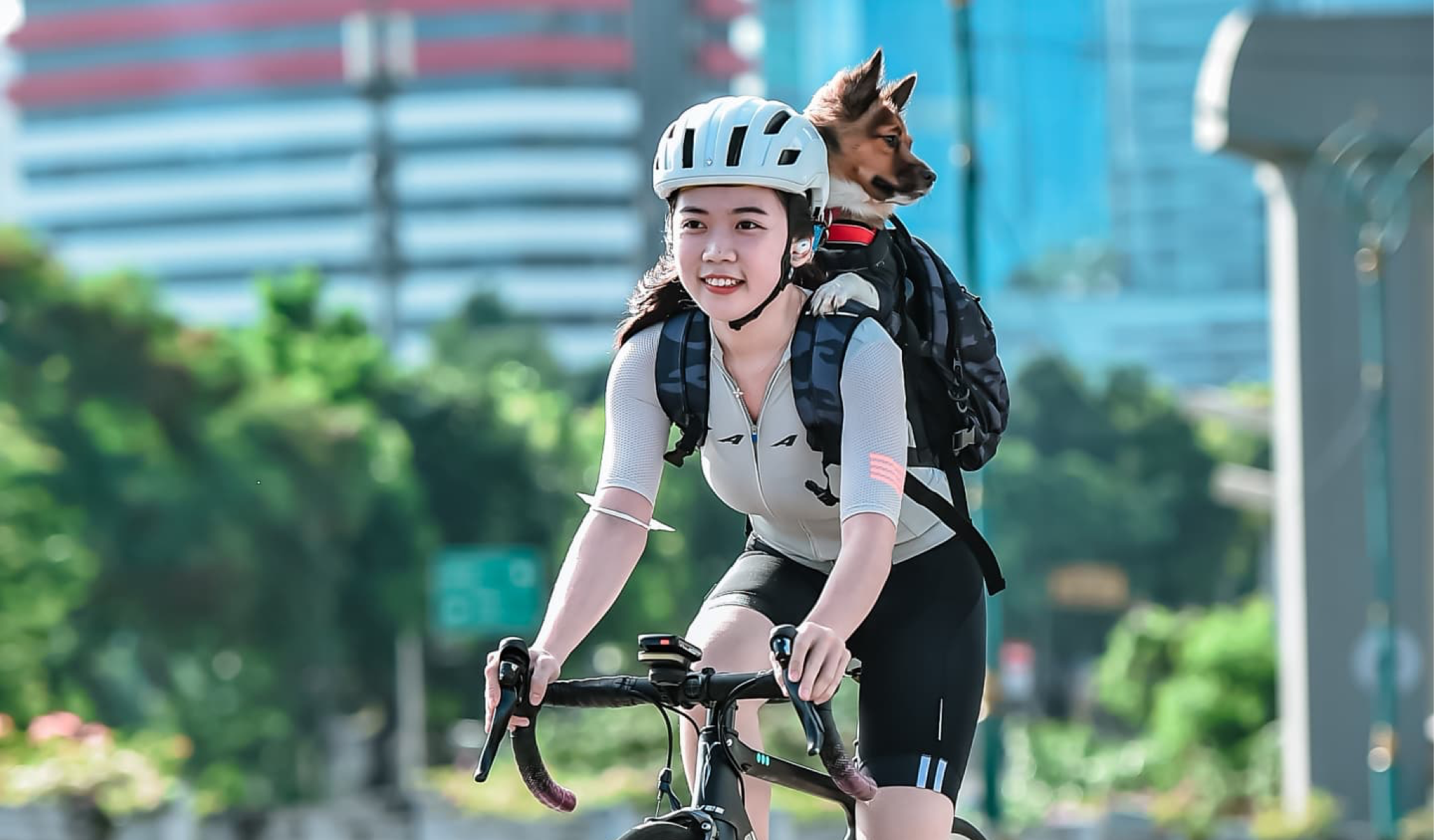 dog carrier backpack singapore pet carrier