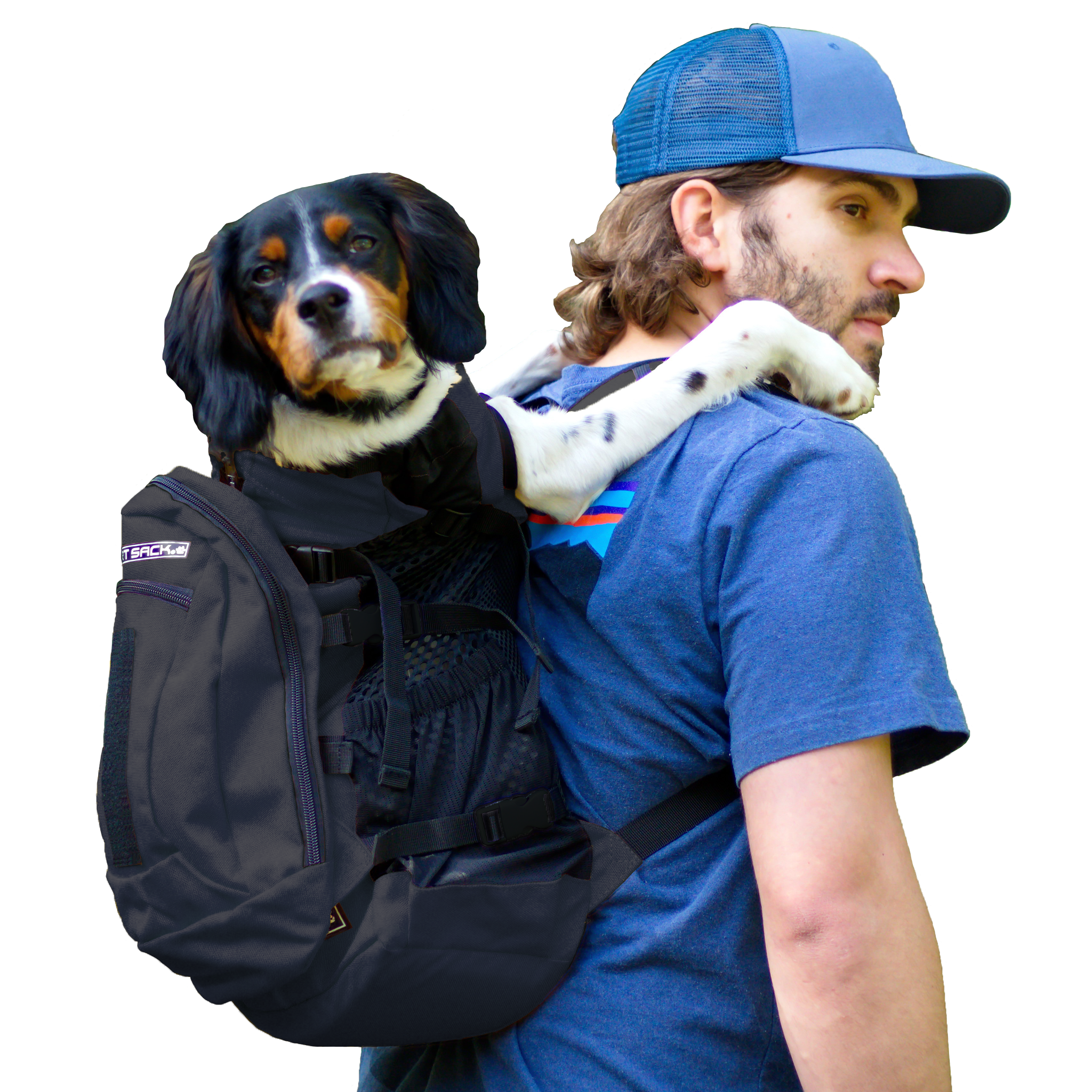 K9 Sport Sack® PLUS 2 – K9 Sport-sack-SEA K9 Sport Sack® PLUS 2 – K9 Sport-sack-SEA