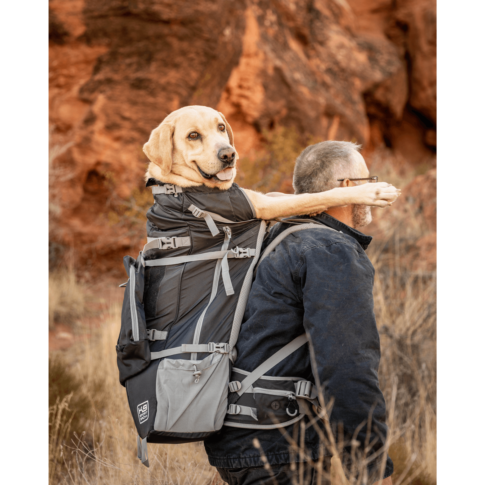 Kolossus Big Dog Carrier Backpacking Pack K9 Sport sack SEA