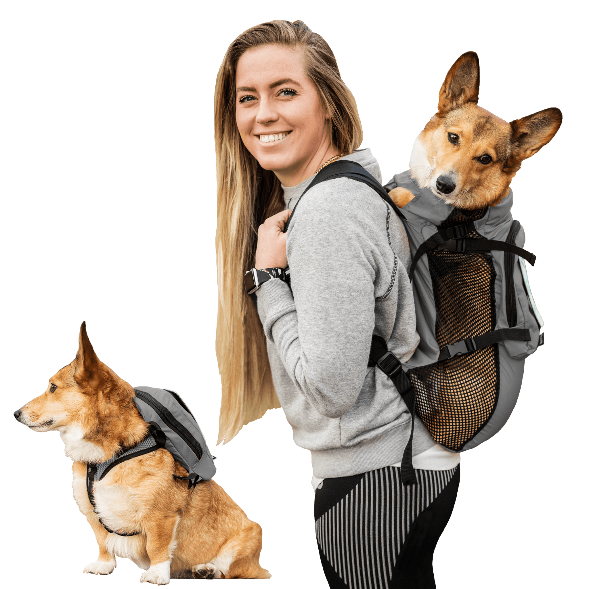 Bag to online carry dog in